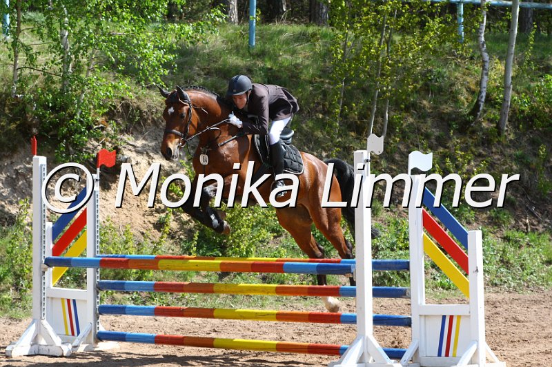 004M1814_Barichello_Spring A.JPG